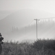 DAYS GONE
